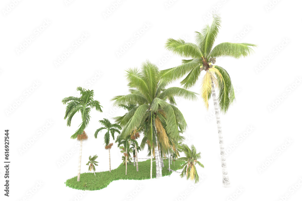 Obraz premium Tropical forest isolated on transparent background. 3d rendering - illustration