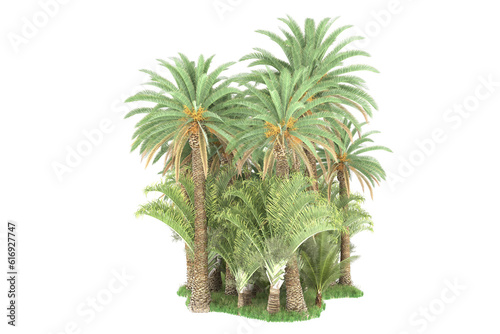 Tropical forest isolated on transparent background. 3d rendering - illustration