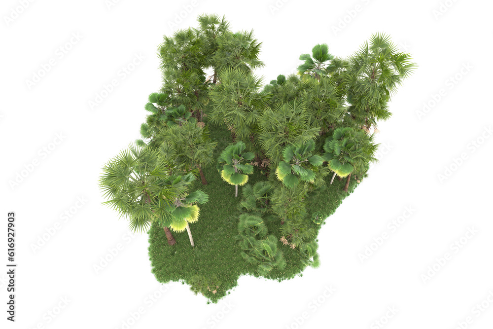 Fototapeta premium Tropical forest isolated on transparent background. 3d rendering - illustration