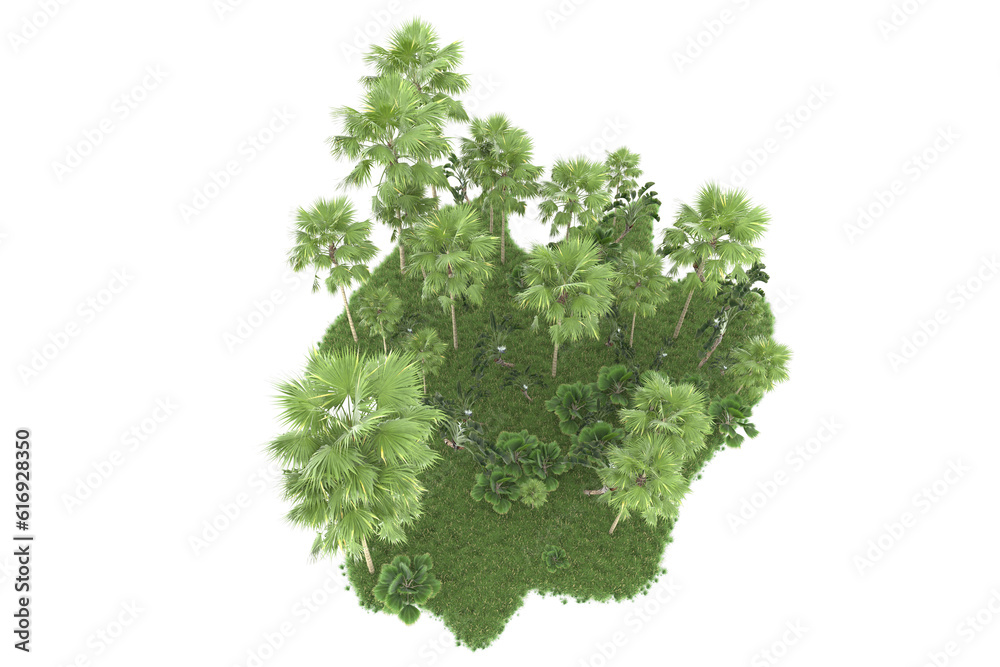 Fototapeta premium Tropical forest isolated on transparent background. 3d rendering - illustration