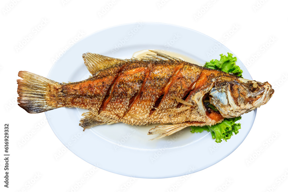 Fresh grilled fish in plate on white background. Fresh grilled fish in plate on white background.