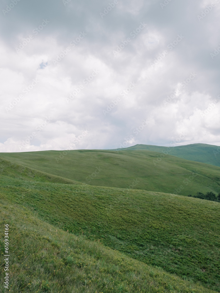 Enchanting Summer Landscape of Carpathian Mountains in Mist Enchanting Summer Landscape of Carpathian Mountains in Mist