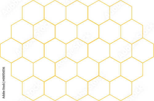 Bee Honeycomb Vector