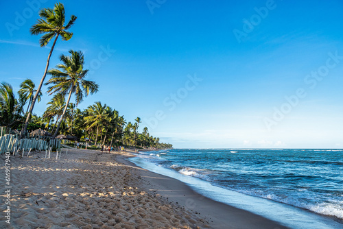Obraz na płótnie White sand beach, clear water and palm trees in Praia do Forte at Bahia, Brazil. w salonie