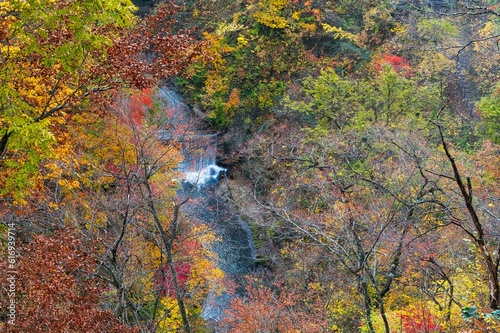 Autumn colors in Naruko Gorge