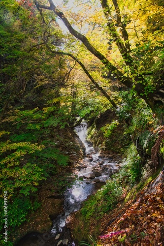 Hot spring stream in Naruko in Autumn