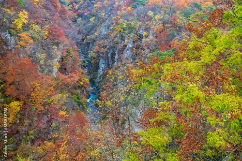 Autumn colors in Naruko Gorge