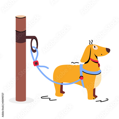 Dog Tied