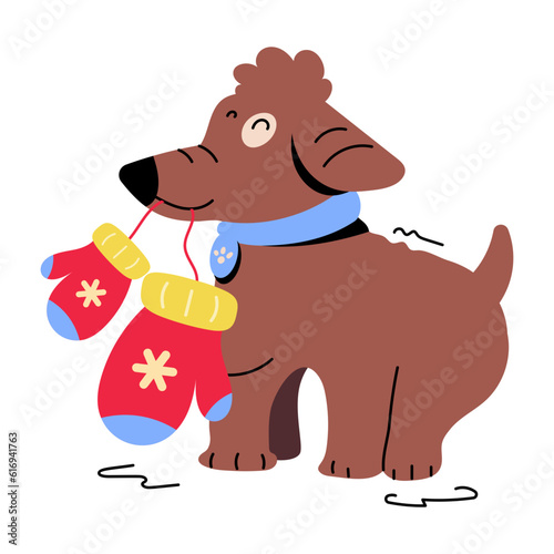Dog Chewing