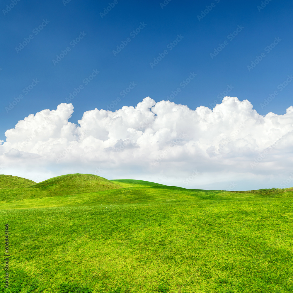Landscape with green grass field under a blue sky Landscape with green grass field under a blue sky