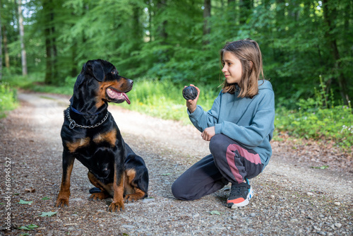 A little girl plays with a ball-toy with her dog of the Rottweiler breed on a path in a forest