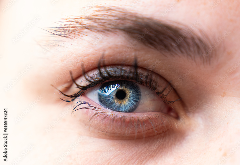 Welcome to our exclusive collection of photos, where the world unfolds through the mesmerizing gaze of blue and orange eyes. Dive into a visual experience that blends the vibrant warmth of orange. Welcome to our exclusive collection of photos, where the world unfolds through the mesmerizing gaze of blue and orange eyes. Dive into a visual experience that blends the vibrant warmth of orange.