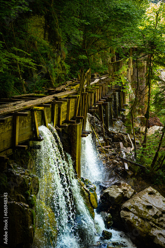 waterfall in the woods