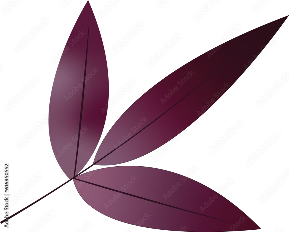 autumn leaf isolated purple autumn leaf isolated purple