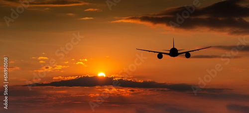 Passenger plane on the background of the sunset sky © Sergey Fedoskin
