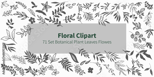 Floral Clipart. 71 set botanical plant leaves flower