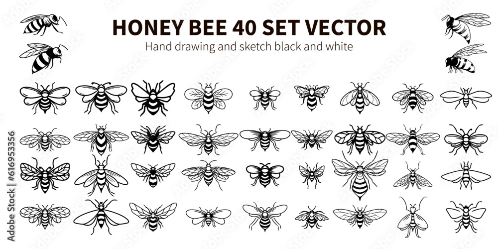 HONEY BEE 40 SET VECTOR HAND DRAWING AND SKETC BLACK AND WHITE