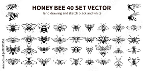 HONEY BEE 40 SET VECTOR HAND DRAWING AND SKETC BLACK AND WHITE