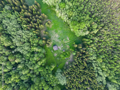 Estonian nature landscape, lonely forest house in summer, view from above. © Dmitri