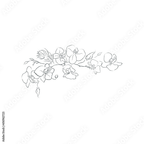 Hand Drawn Orchid Flower Arrangement. Floral Decorative Design Element. Branc...