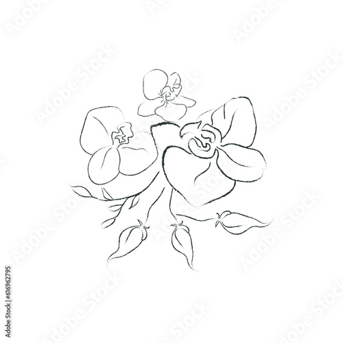Hand Drawn Orchid Flower Arrangement. Floral Decorative Design Element. Bloss...
