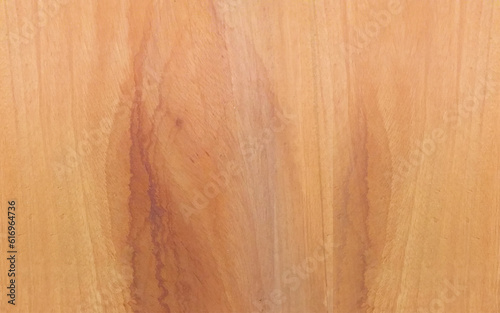 Wooden texture with vertical veins. Vector wood background. 