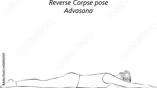 Sketch of young woman practicing yoga, doing Reverse Corpse pose. Advasana. Prone and Neutral. Beginner. Isolated vector illustration.