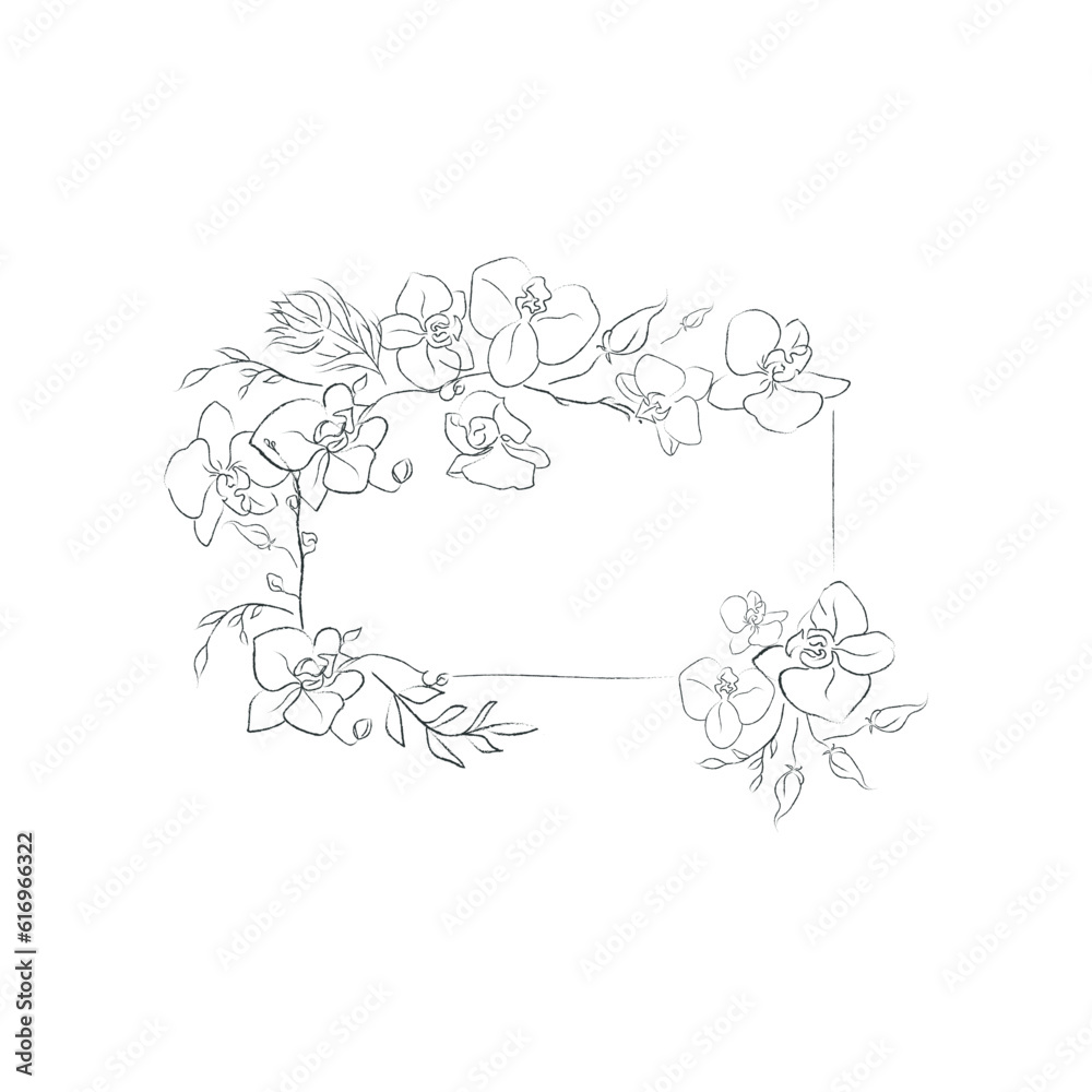 Hand Drawn Orchid Flower Arrangement. Floral Decorative Design Element. Text Frame.