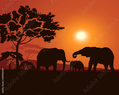 African savannah landscape with elephants silhouettes, sunset, sunrise, red background. Vector illustration.