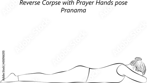 Sketch of young woman practicing yoga, doing Reverse Corpse with Prayer Hands pose. Pranama. Prone and Neutral. Beginner. Isolated vector illustration. photo