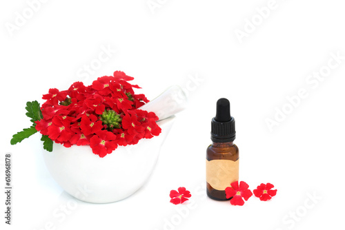 Red verbena herb flowers used in herbal medicine with essential oil bottle used as a sedative, treats insomnia, depression, arthritis and heart conditions. On white. Peruviana. photo