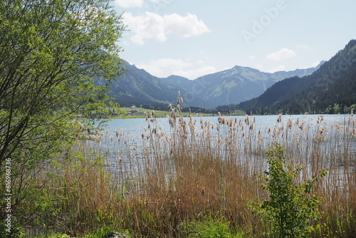 Alpenpanorama mit Haldensee in Österreich 