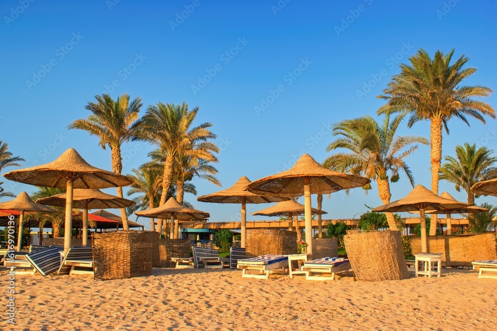 Idylic beach with palms and sun umbrelas, Red Sea, Egypt