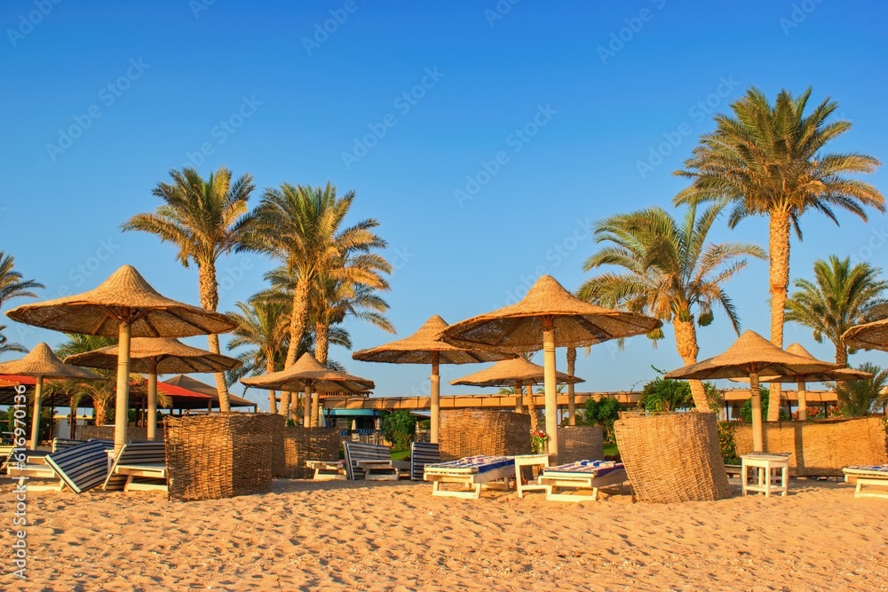 Fototapeta premium Idylic beach with palms and sun umbrelas, Red Sea, Egypt