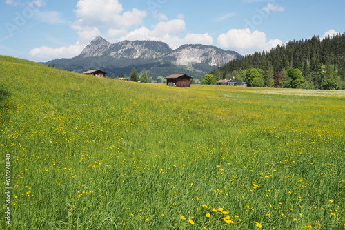 Alpenpanorama in Österreich 