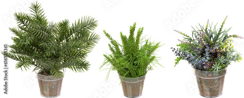 Green plants in pots with transparent background
