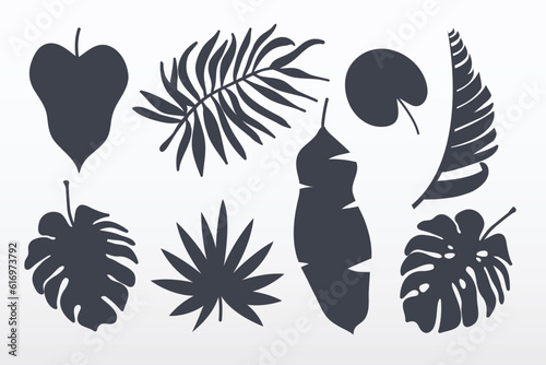 Tropical leaves collection. Set of tropical leaves silhouettes vector illustration.