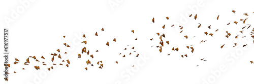 Wallpaper Mural monarch butterflies, Danaus plexippus swarm isolated on transparent background b