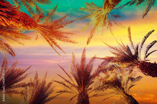 Fototapeta Naklejka Na Ścianę i Meble -  Silhouette of palm trees against the colorful sunset sky