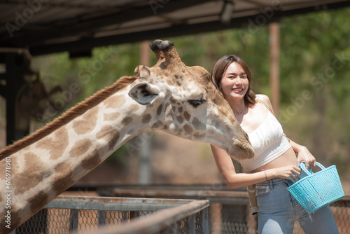 Photography Happy young woman smiling with perfect smile feeding giraffe in zoo
