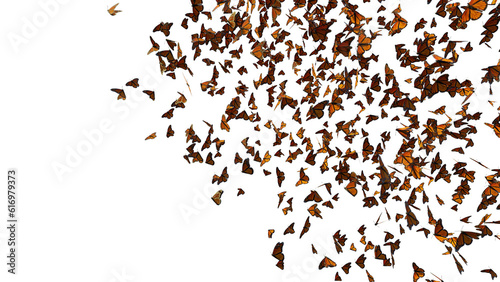 monarch butterflies, Danaus plexippus swarm isolated on transparent background 