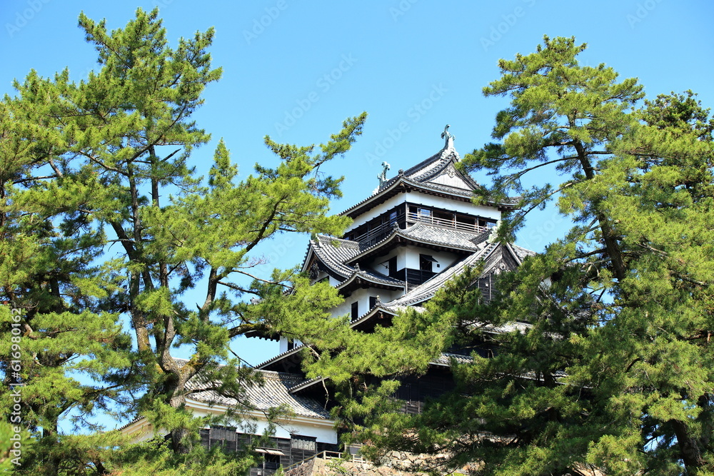 新緑が美しい島根県松江市の国宝松江城 新緑が美しい島根県松江市の国宝松江城