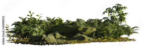 rocky forest floor with plants and rocks isolated on transparent background banner 