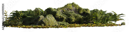 Obraz na płótnie rocky forest floor with plants and rocks isolated on transparent background banner w salonie