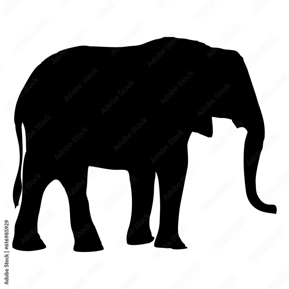 Fototapeta premium Vector illustration of a black silhouette elephant. Isolated white background. Icon elephant side view profile.