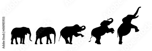 Photography Vector illustration of a black silhouette elephant