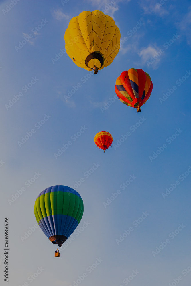 Fototapeta premium Hot air balloon at the festival