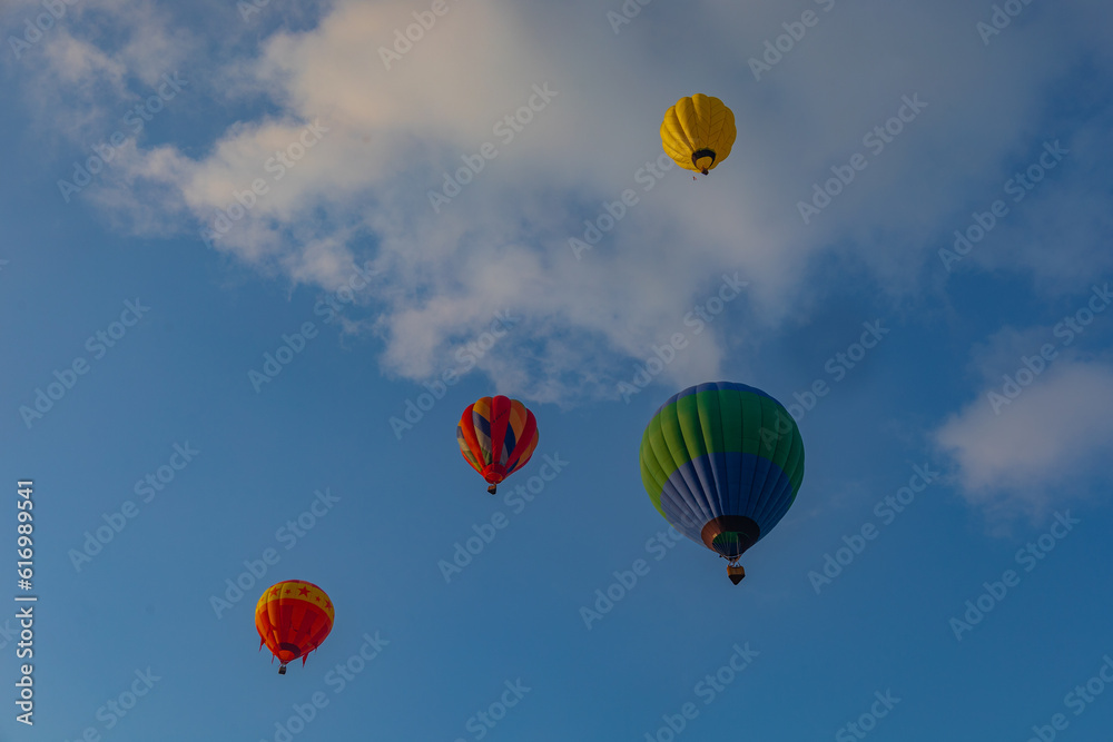Naklejka premium Hot air balloon at the festival