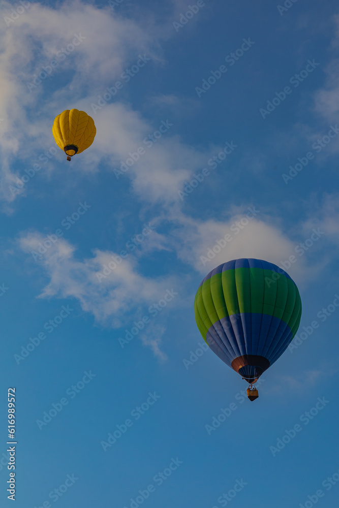 Fototapeta premium Hot air balloon at the festival