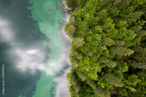 Green pine tree forest at emerald lake. Aerial drone view, top down. Beauty in nature